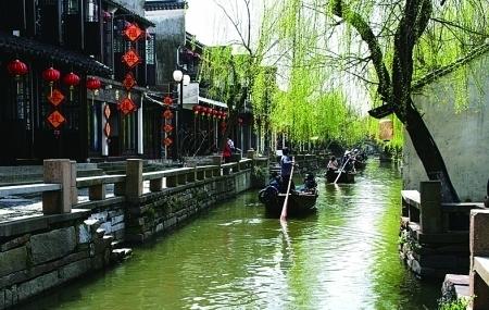 急求：情人节收到的鲜花应如何保存？游戏画面